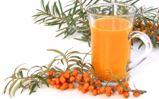 Sanddornsaft Wildsammlung, 750 ml