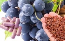 OPC + Lycopin + Vitamin C, 1000 Stk.