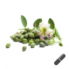 Kapernextrakt-Kapseln PLUS, 500 Stk