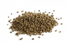 Hanfsamen ganz/ungeschält Bio 500g
