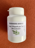Artemisia in Kapseln